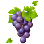 grapes-150x150-1